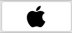 <p>APPLE</p>